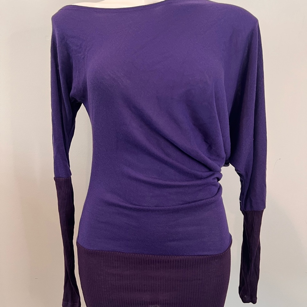 Elegant Purple Women's Top or Dress